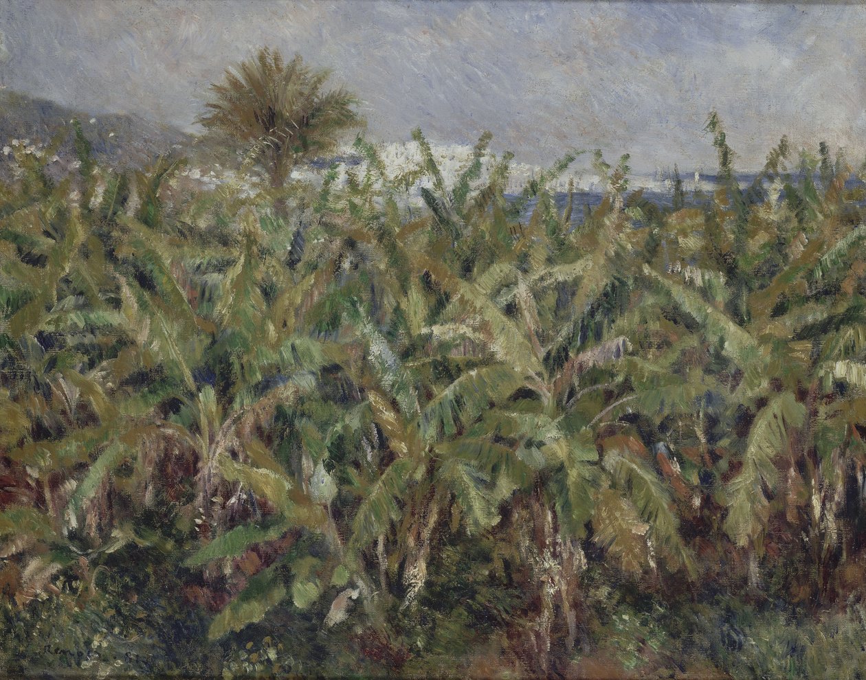 Bananenfeld von Pierre-Auguste Renoir
