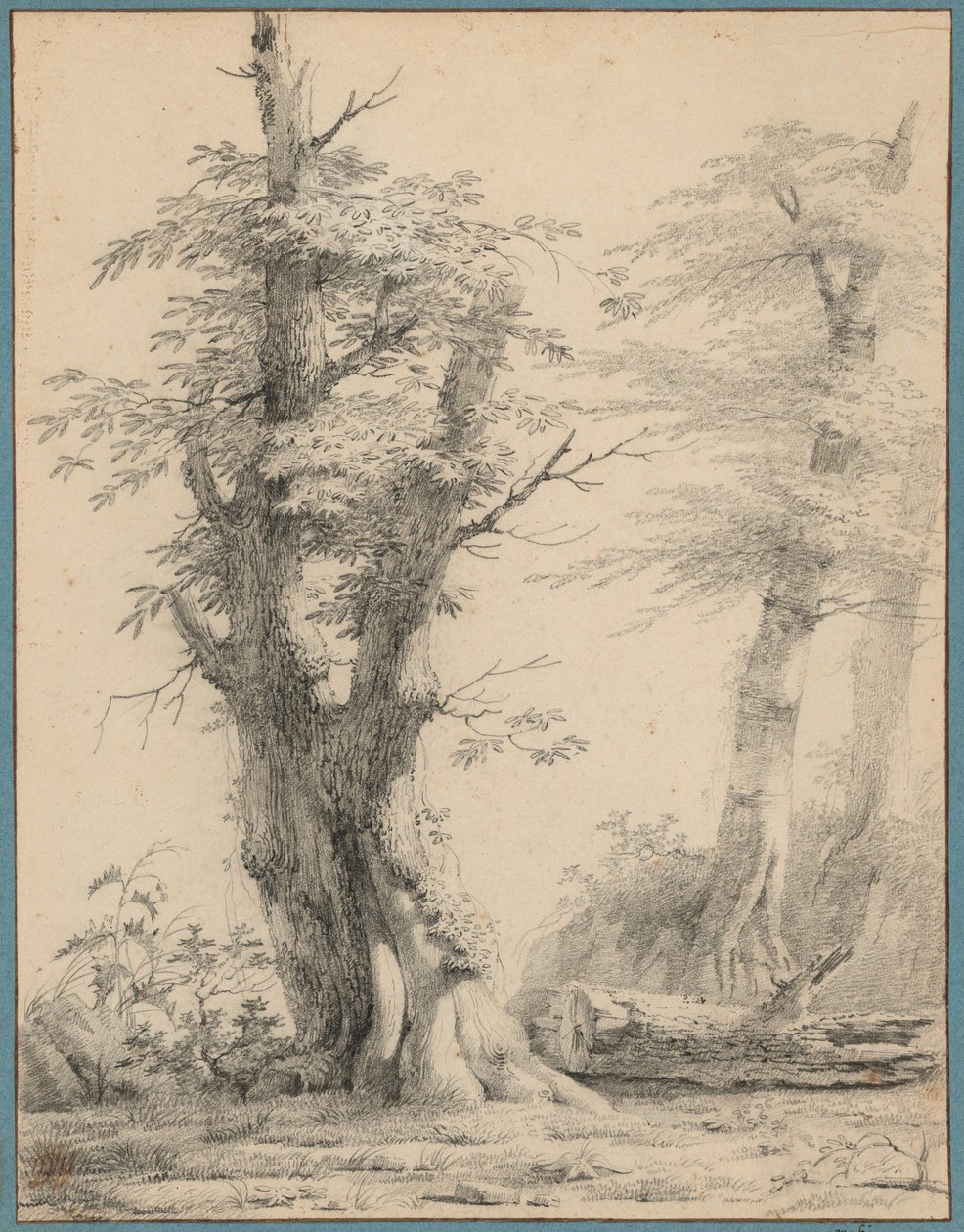Eine Baumgruppe von Pierre-Henri de Valenciennes