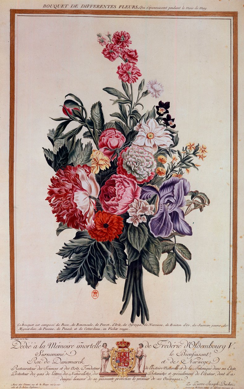 Blumenstrauß Melange Lithographie von Pierre Joseph von Pierre Joseph Buchoz