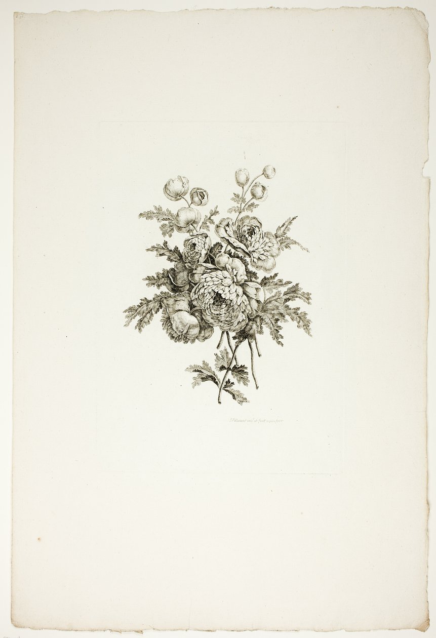 Blumenstrauß mit Pfingstrosen, aus Sammlung verschiedener Blumensträuße, erfunden und gezeichnet von Jean Pillement und graviert von P. C. Canot von Pierre Charles Canot