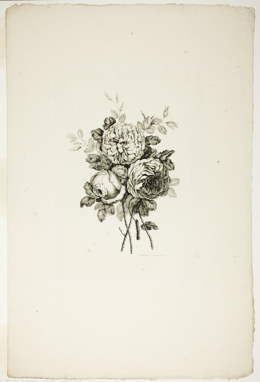 Blumenstrauß mit Rosen, aus Sammlung verschiedener Blumensträuße, erfunden und gezeichnet von Jean Pillement und graviert von P. C. Canot von Pierre Charles Canot