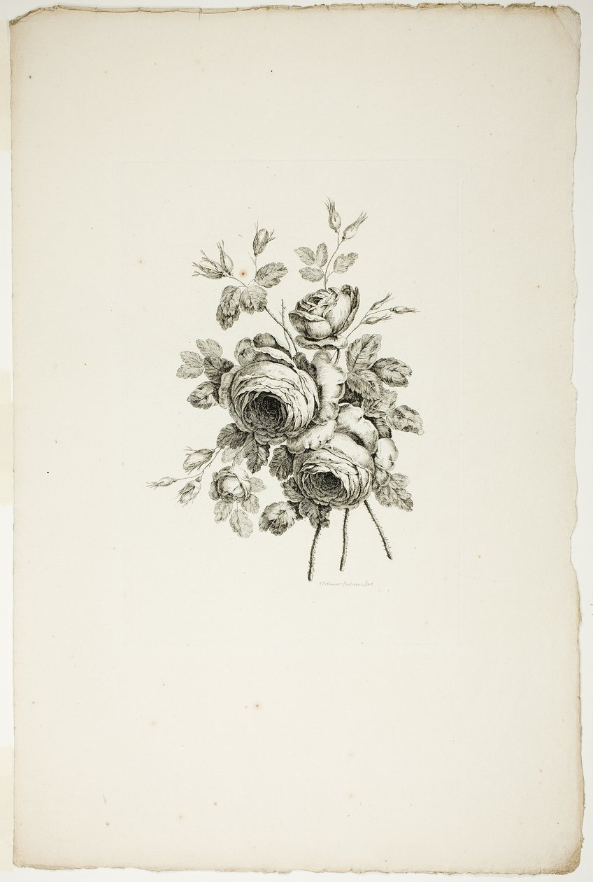 Blumenstrauß mit Rosen, aus der Sammlung verschiedener Blumensträuße, erfunden und gezeichnet von Jean Pillement und graviert von P. C. Canot von Pierre Charles Canot