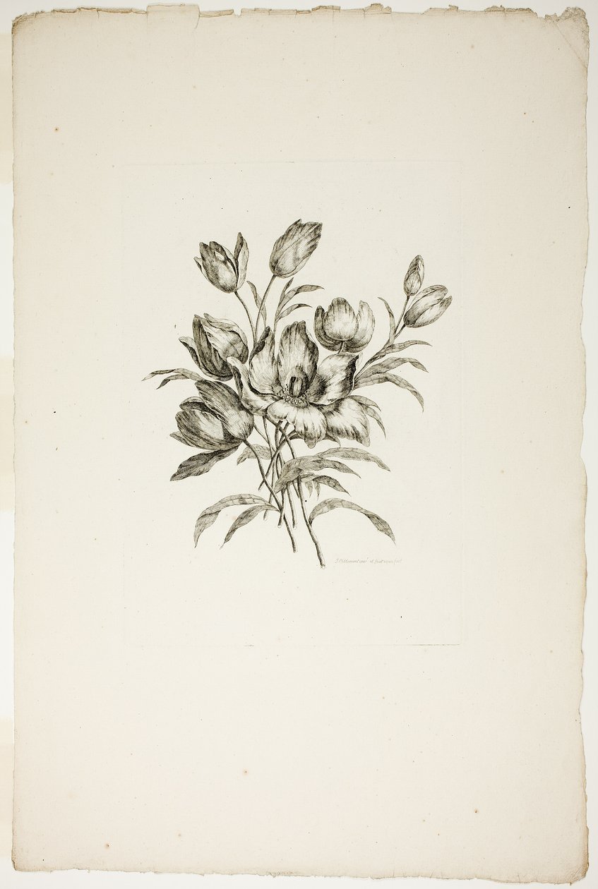 Blumenstrauß mit Tulpen, aus Sammlung verschiedener Blumensträuße, erfunden und gezeichnet von Jean Pillement und graviert von P. C. Canot von Pierre Charles Canot