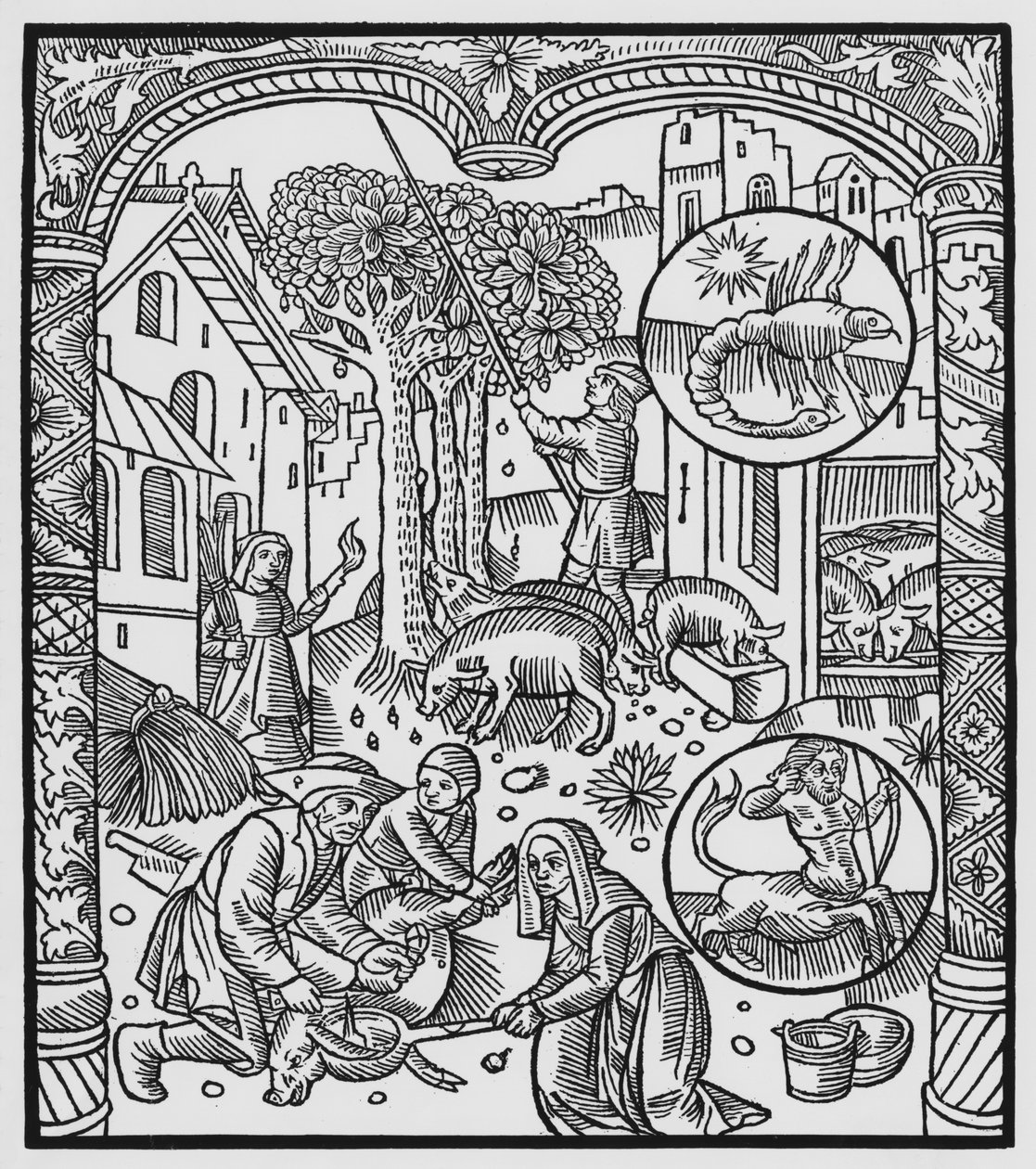 November, Schweineschlachtung und Eichelernte, Skorpion, Illustration aus dem 