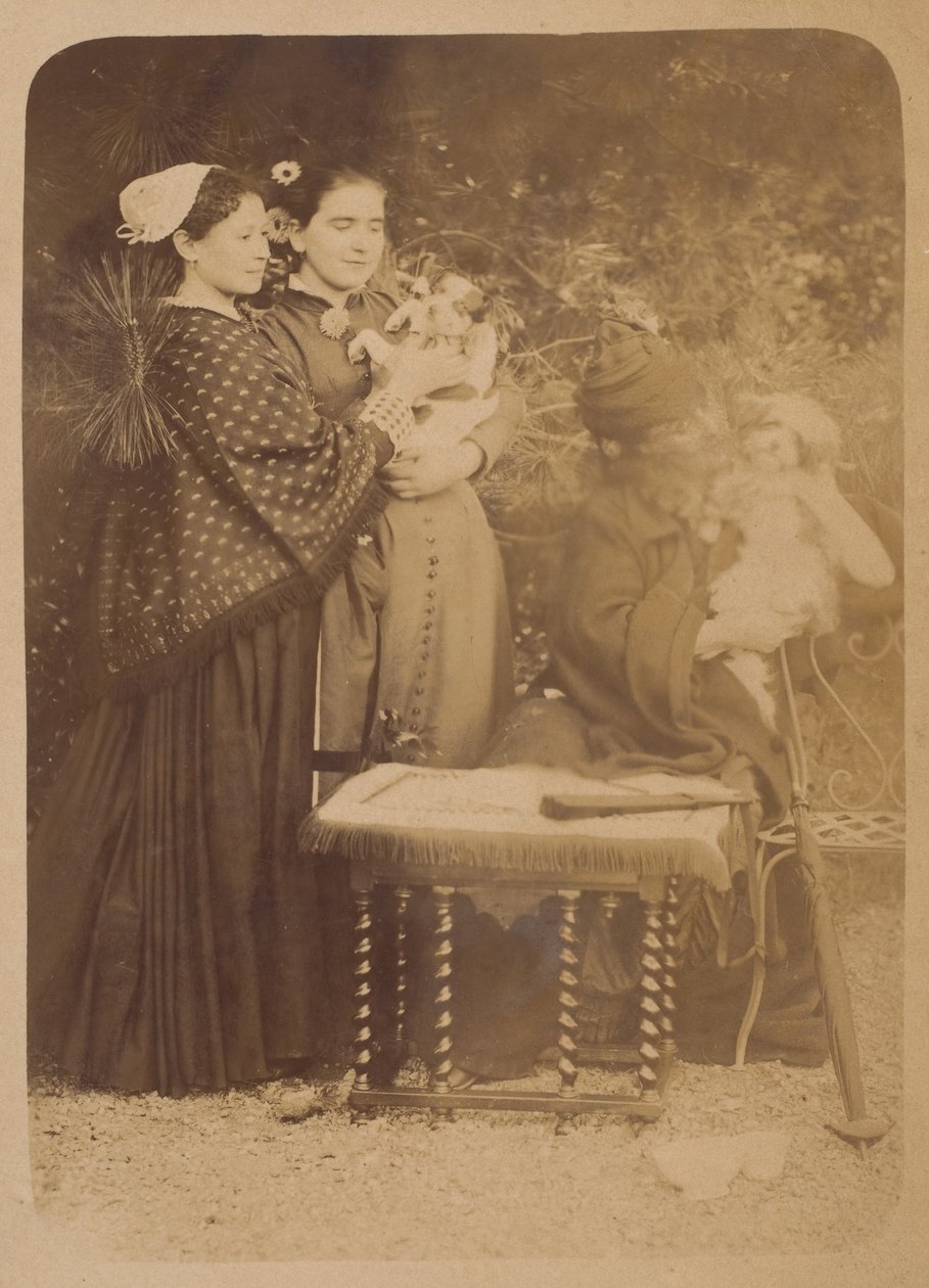 Die Hunde von Pierre-Louis Pierson