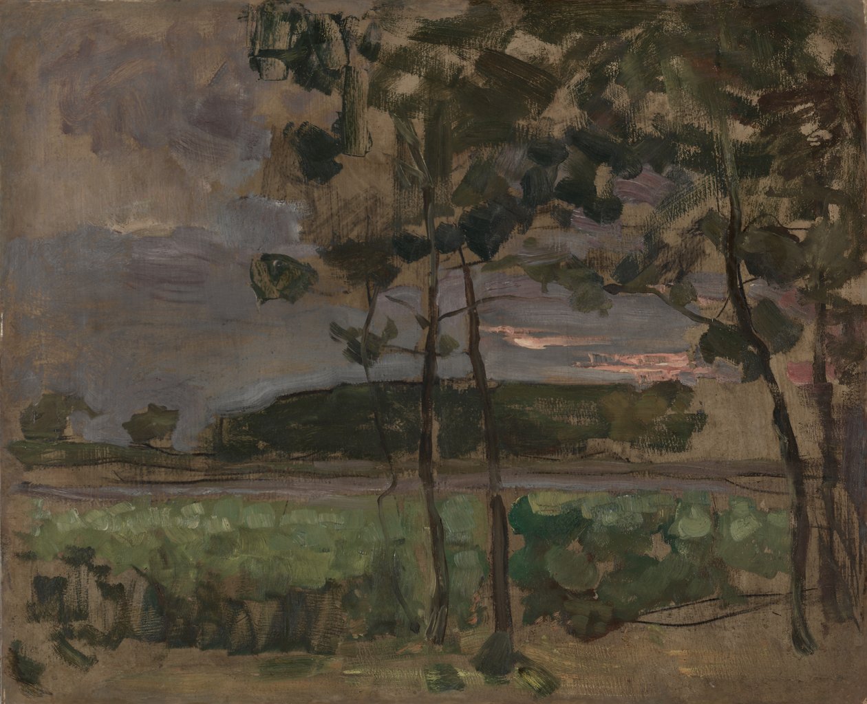 Feld mit jungen Bäumen im Vordergrund von Piet Mondrian