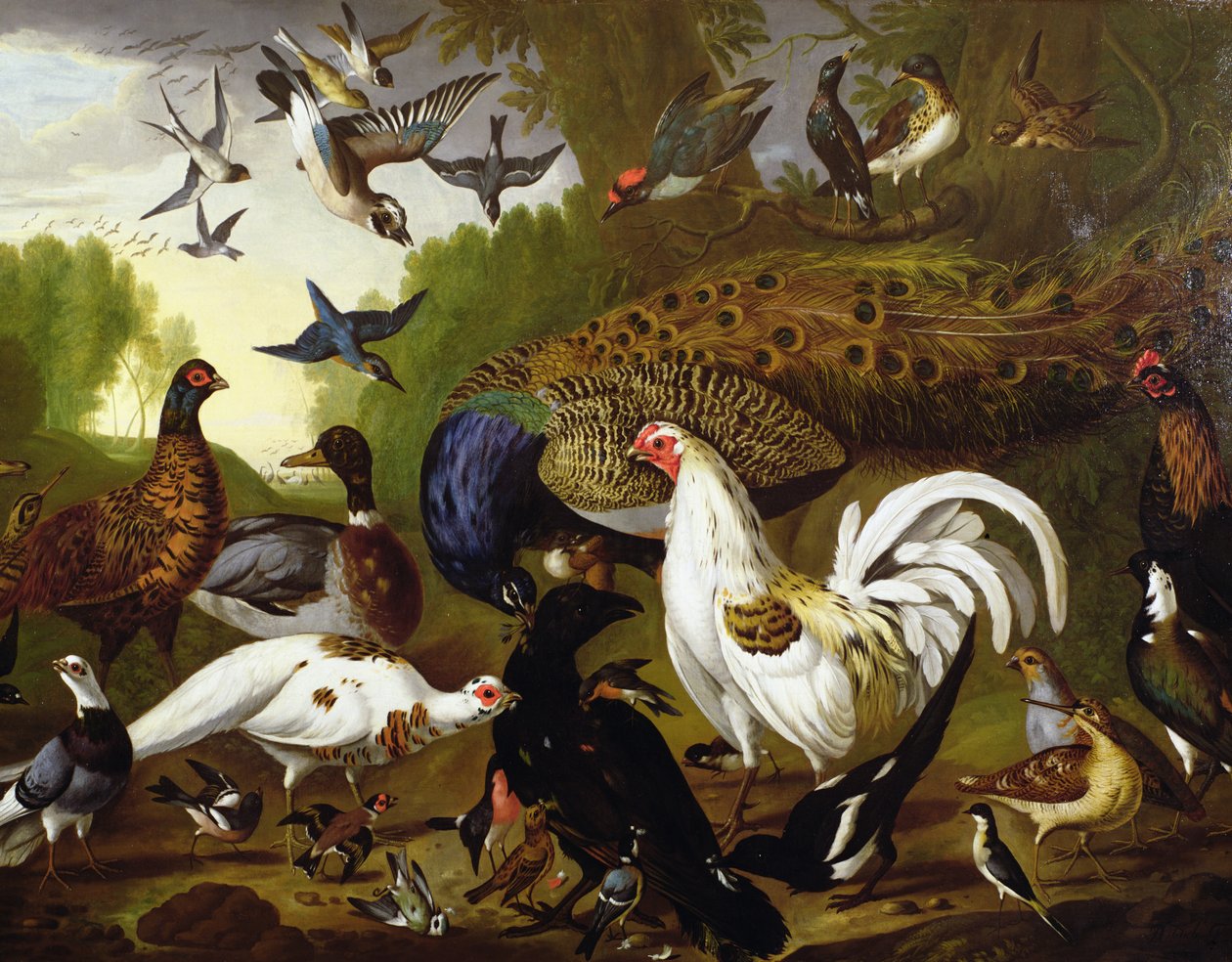 Die Fabel vom Raben mit einem Pfau, Hahn, Specht, Eichelhäher, Waldschnepfe und Elster von Pieter Casteels