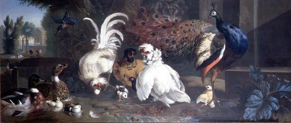 Ein Pfau, Hühner, Enten und ein Eisvogel von Pieter Casteels
