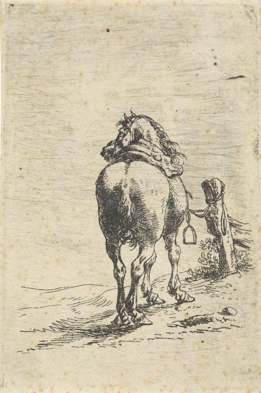 Gesatteltes Pferd an einem Pfahl von Pieter Cornelisz. Verbeeck