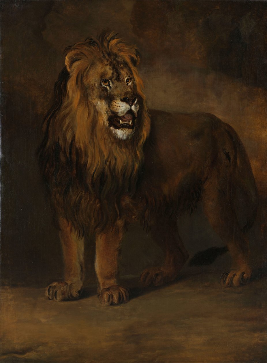 Ein Löwe aus der Menagerie von König Louis Napoleon, 1808 von Pieter Gerardus van Os