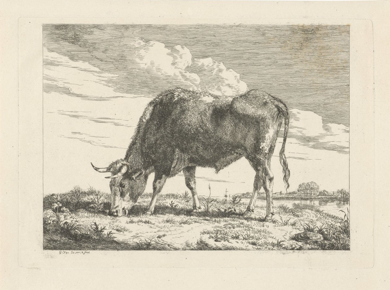 Weidende Kuh von Pieter Gerardus van Os