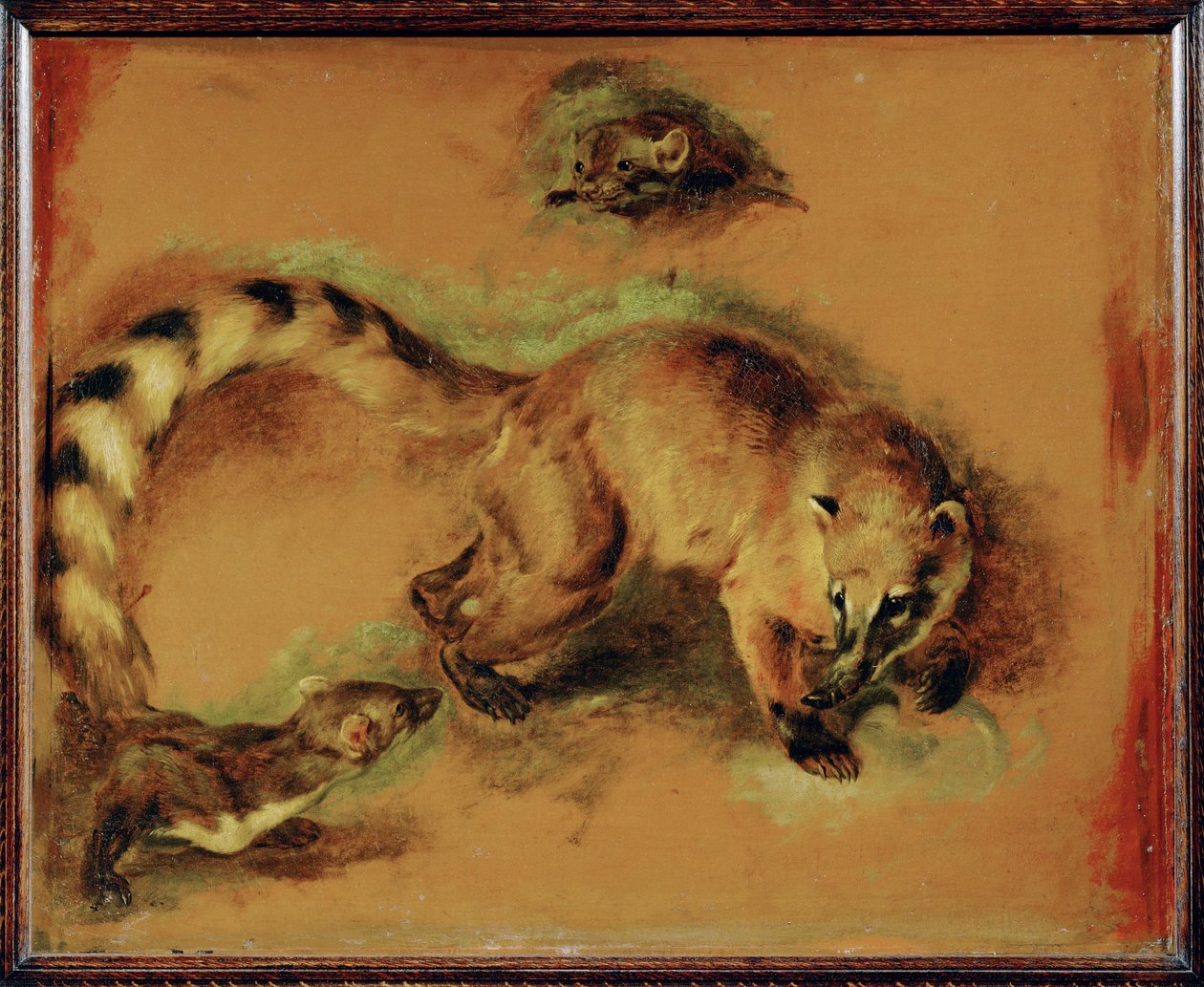 Ein Nasenbär und ein kleines Nagetier von Pieter or Peter Boel