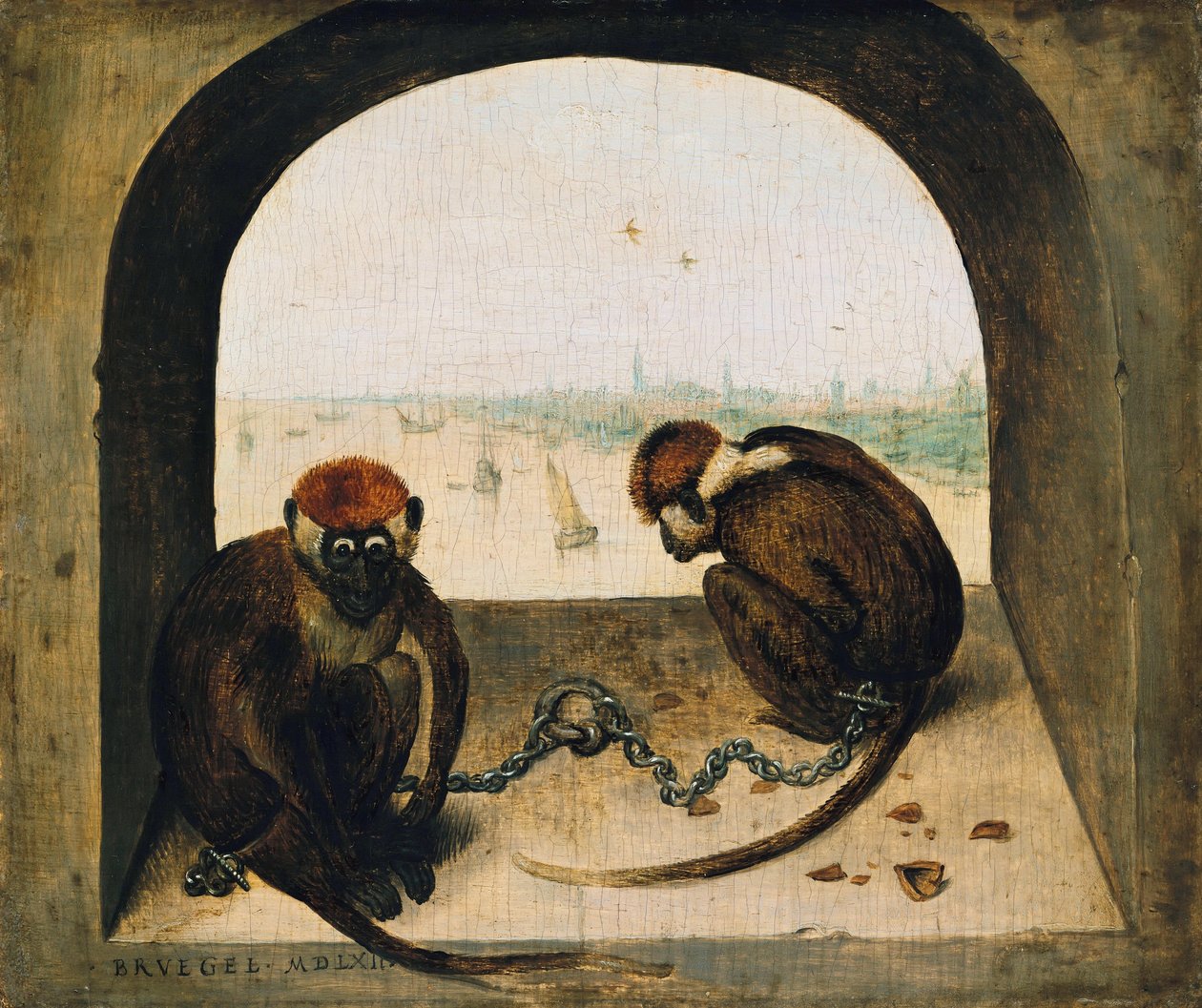 Zwei angekettete Affen von Pieter Bruegel the Elder