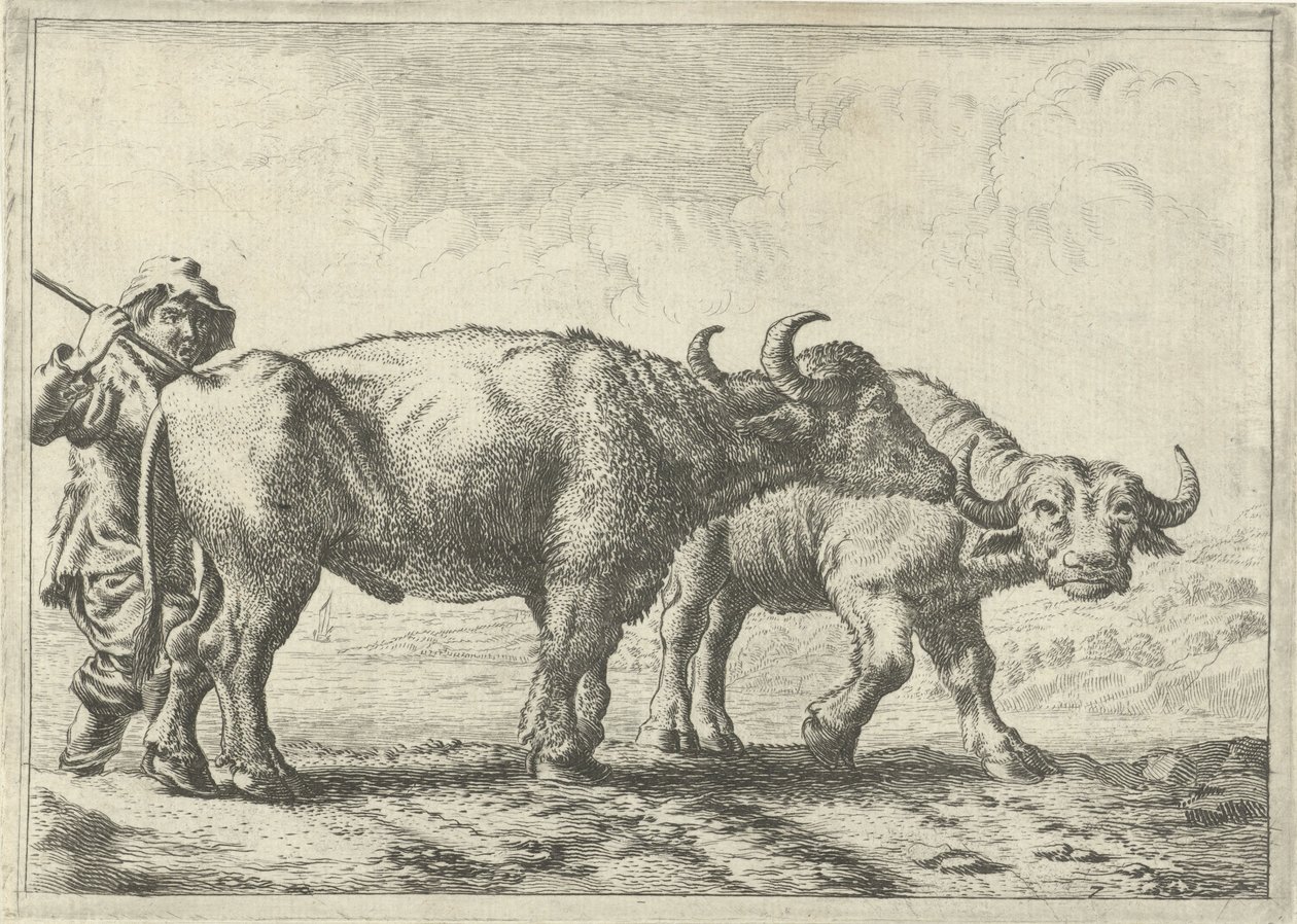 Zwei Büffel und ein Hirte von Pieter van Laer