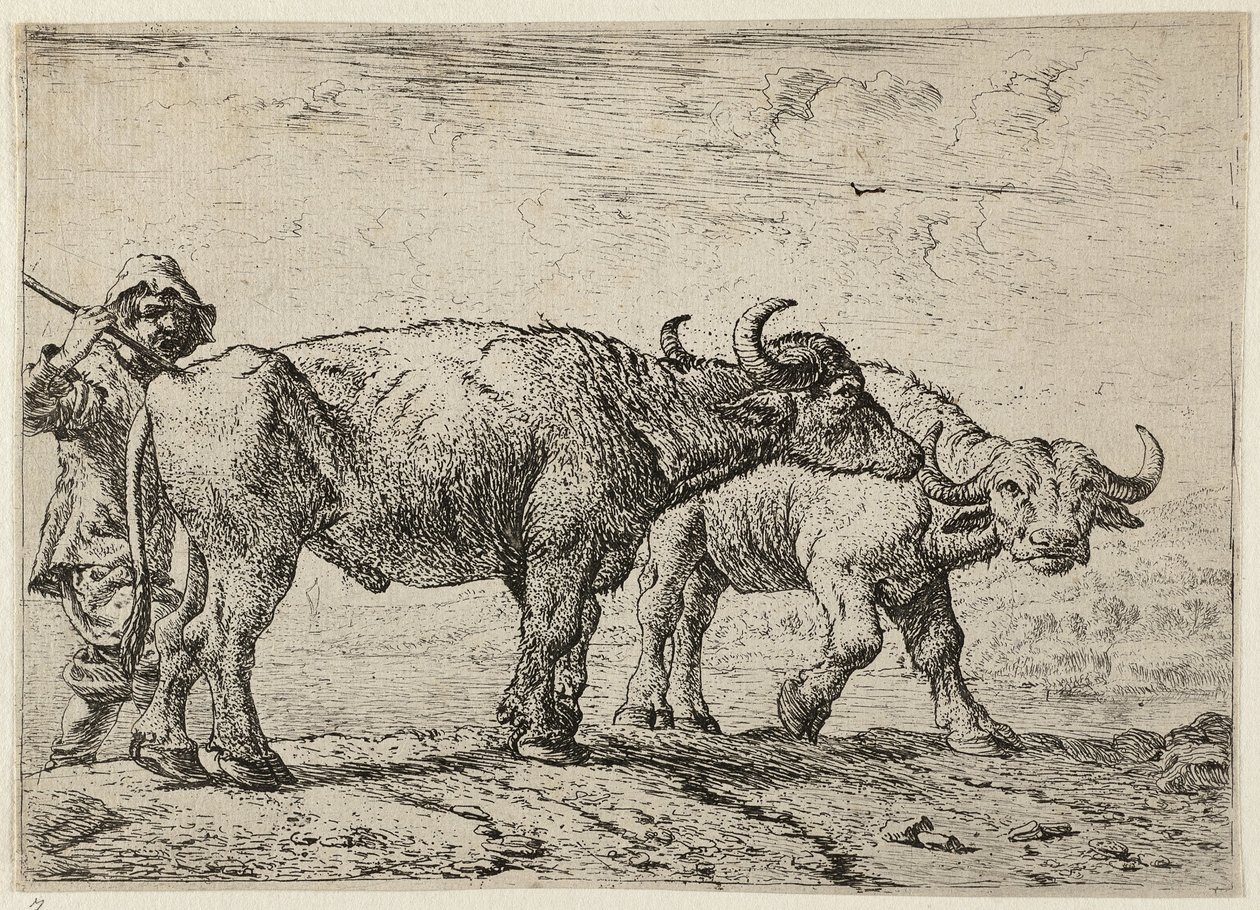 Zwei Büffel und ein Hirte von Pieter van Laer