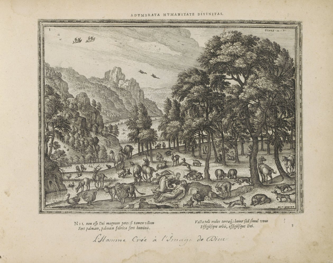 Schöpfung des Menschen von Pieter van der Borcht (I)