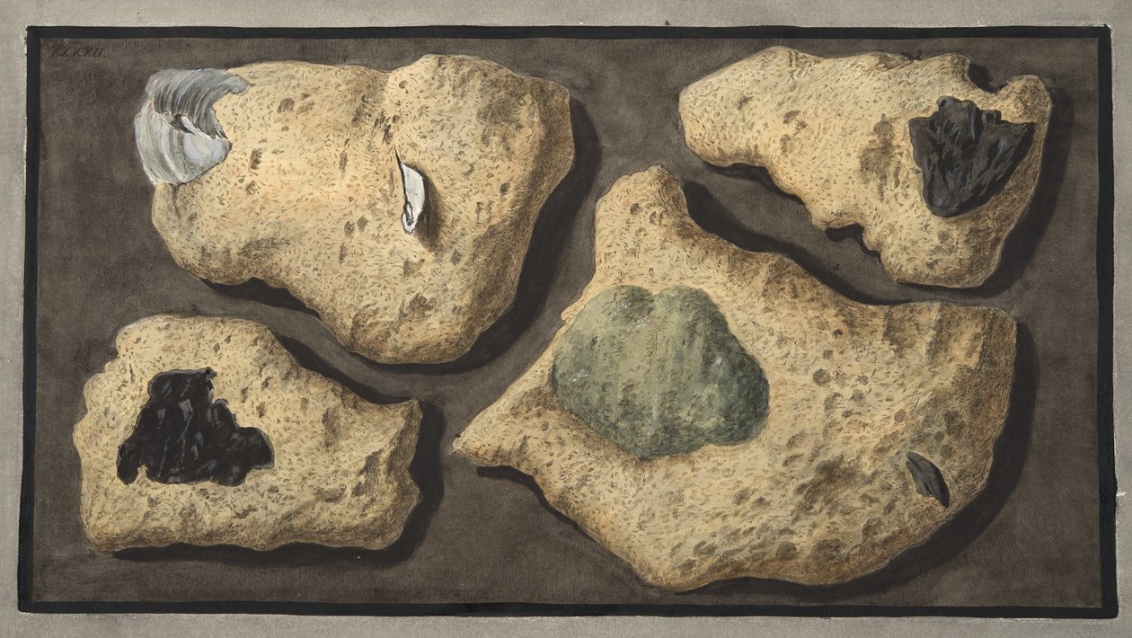 Proben von Tuffen aus den Steinbrüchen in der Nähe der Grotta von Pausilipo, Tafel XXXXII, aus 