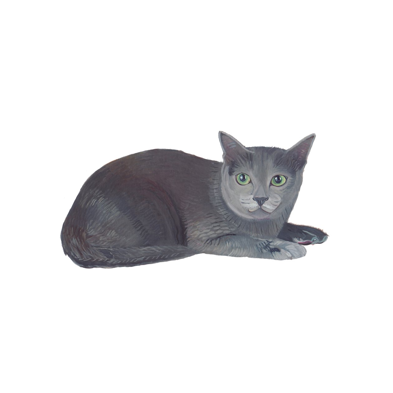 Korat von Polly Horner