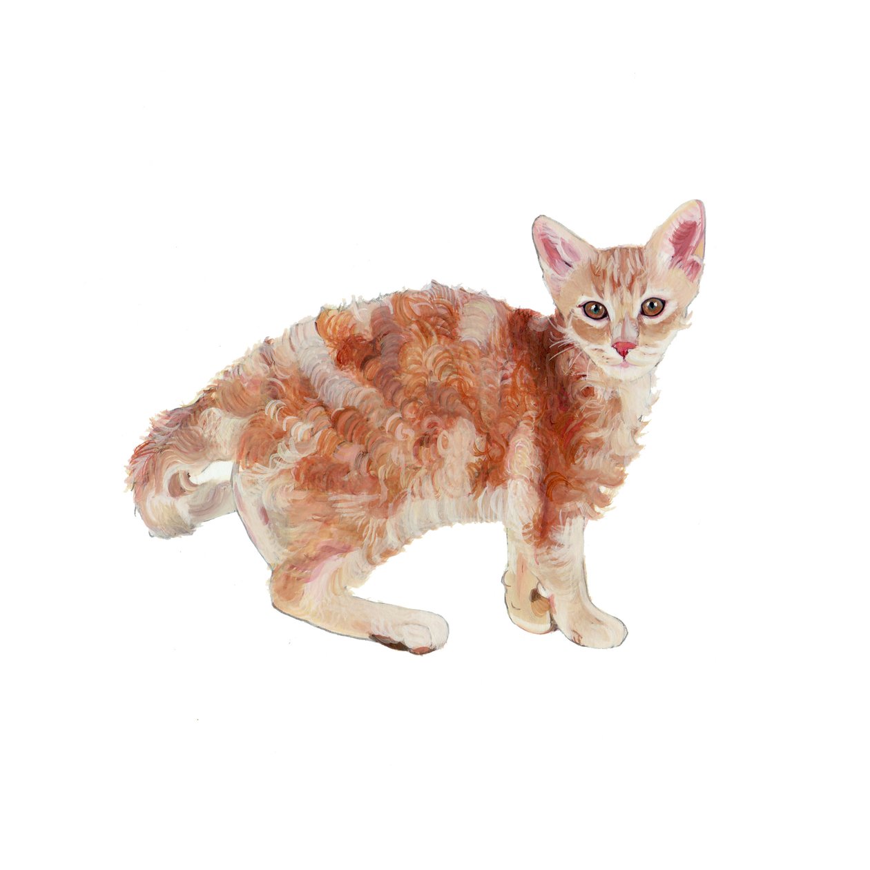 Laperm von Polly Horner