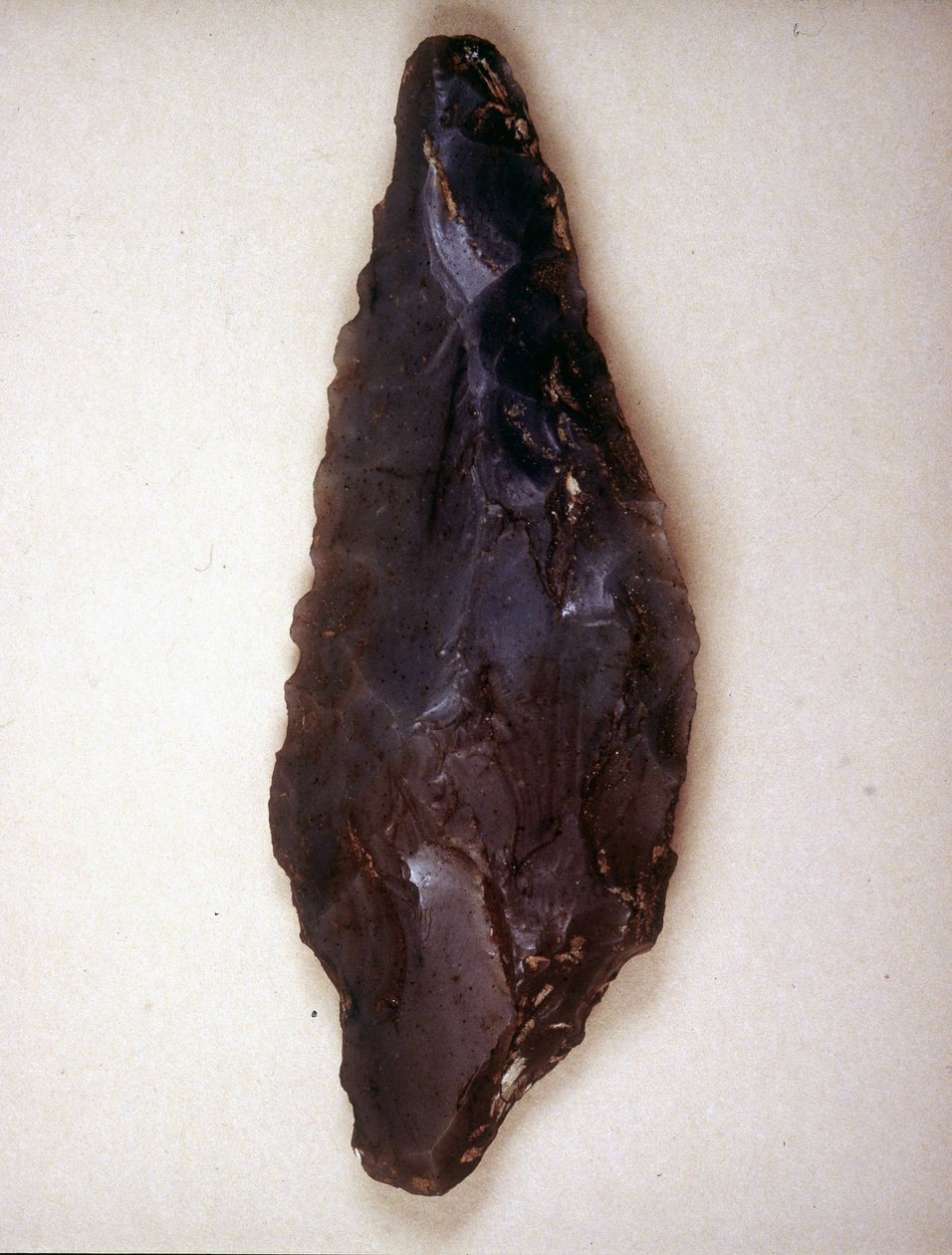 Pfeilspitzen aus Feuerstein. Varese. Archäologisches Museum von Mailand von Prehistoric Prehistoric