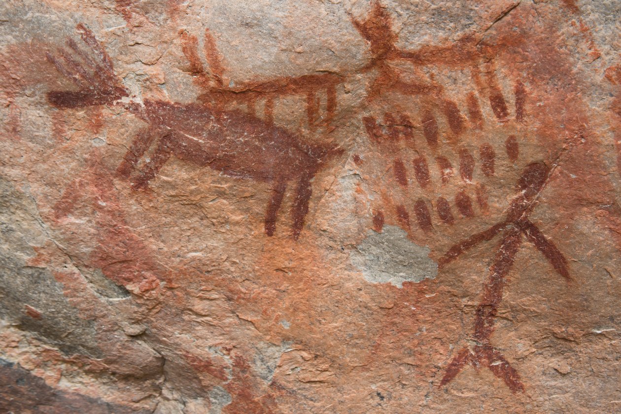 Höhlenmalerei, Salmon-Challis National Forest von Prehistoric Prehistoric