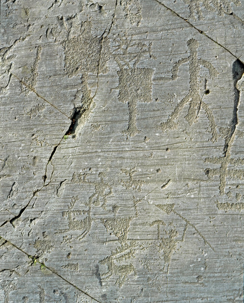 Urgeschichte, Camunni-Zivilisation, Felskunst: Gravuren von Hirschjagdszenen und Alltagsleben in einem Dorf. Zeitraum zwischen dem Neolithikum und der Bronzezeit. Capo di Ponte, Parco nazionale delle incisioni rupestri di Naquane, Valcamonica, Val Camonica von Prehistoric Prehistoric
