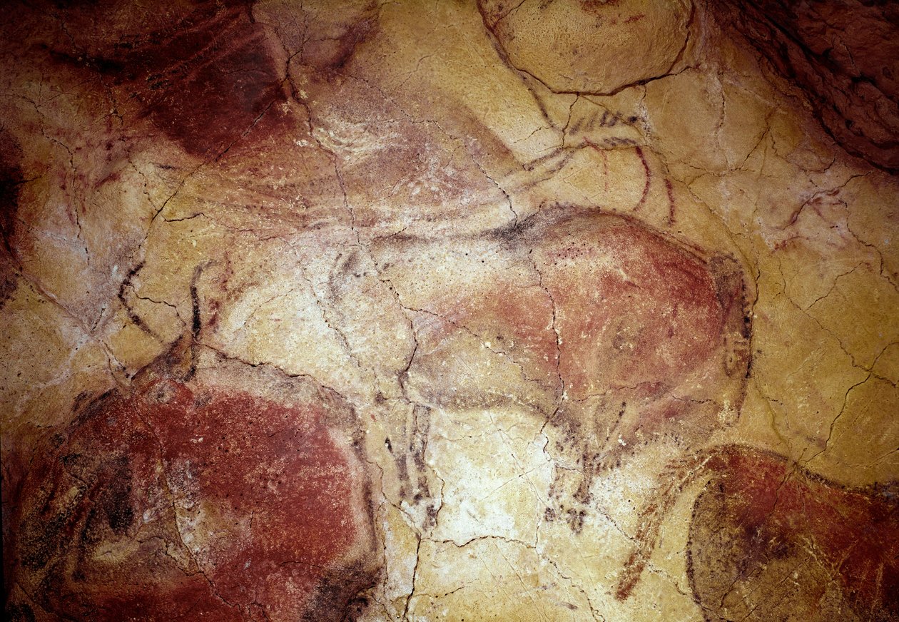 Vorgeschichte: „Bison in Ruhe“ Felsmalerei des Oberen Paläolithikums (Magdalénien) (zwischen 16500 und 14000 Jahren). Bisonhöhle, Altamira, Santander, Spanien von Prehistoric Prehistoric