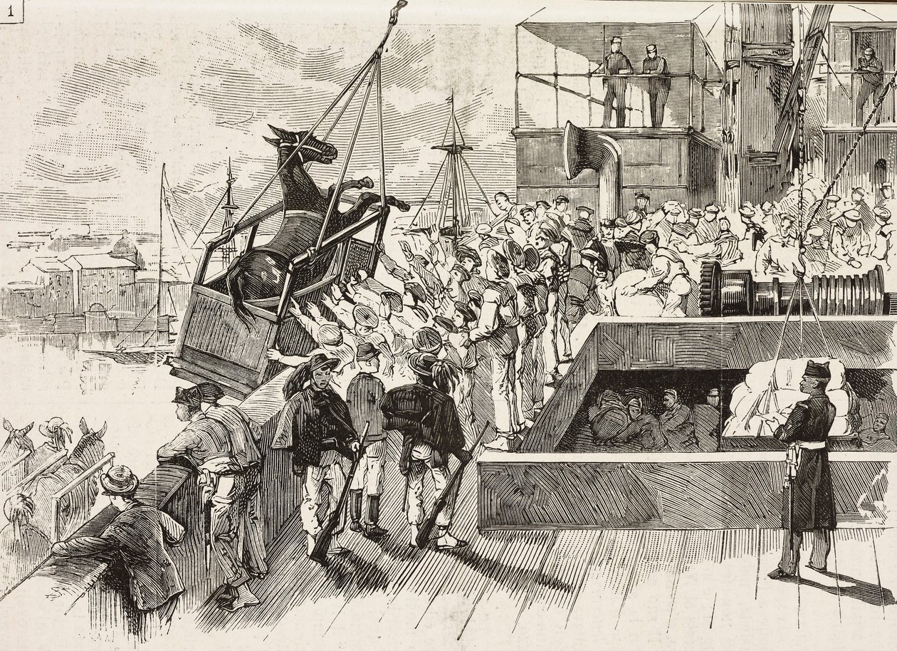 Maultier wird auf das Schiff Principe Amedeo verladen, italienische Expedition im Roten Meer, Italien (Stich) von Quinto Cenni