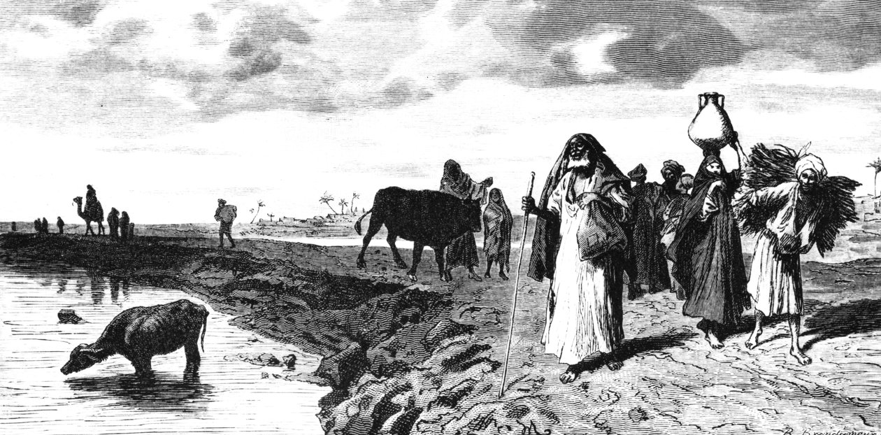 Eine Chaussee im Delta zur Zeit der Flut, 1880 von R. Brandamour