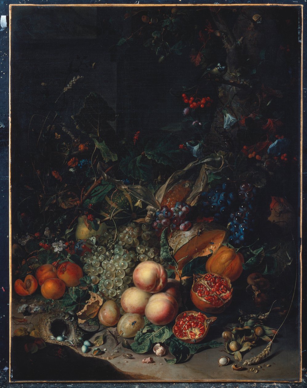 Pfirsiche, Trauben, Granatäpfel, Melonen, ein Maiskolben, Aprikosen, Pflaumen, Birnen, Eicheln von Rachel Ruysch