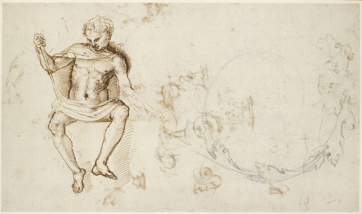 Recto: Studien eines sitzenden Mannes und von Akanthuslaub, WA1846.147 von Raffaello Sanzio Raphael