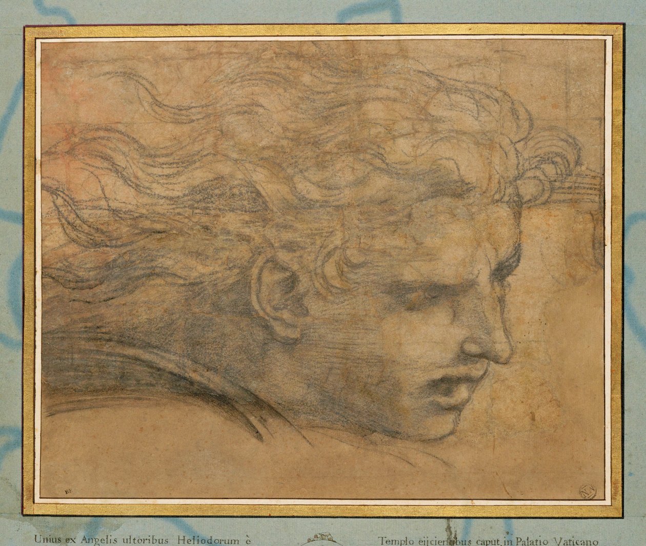 Kopf eines jungen Mannes, dreiviertel nach rechts von Raphael (1483 1520)