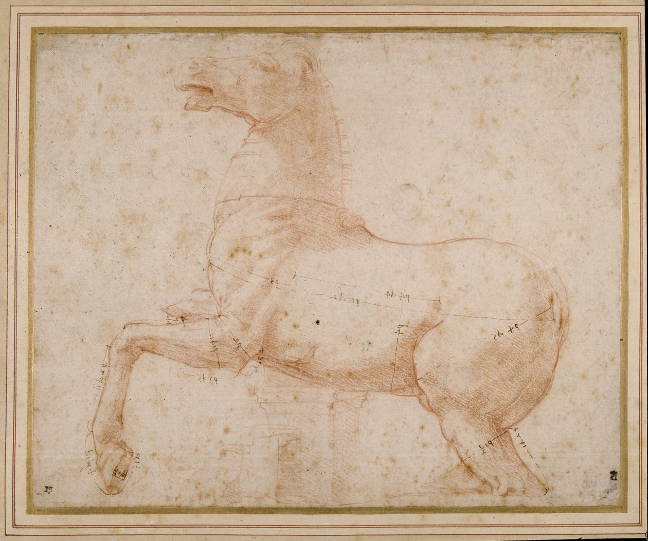 Studie eines Pferdes von Raphael