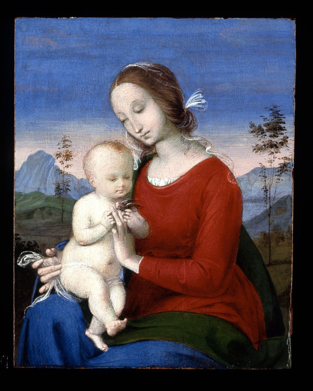 Madonna mit Kind und einem Vogel von Raphael