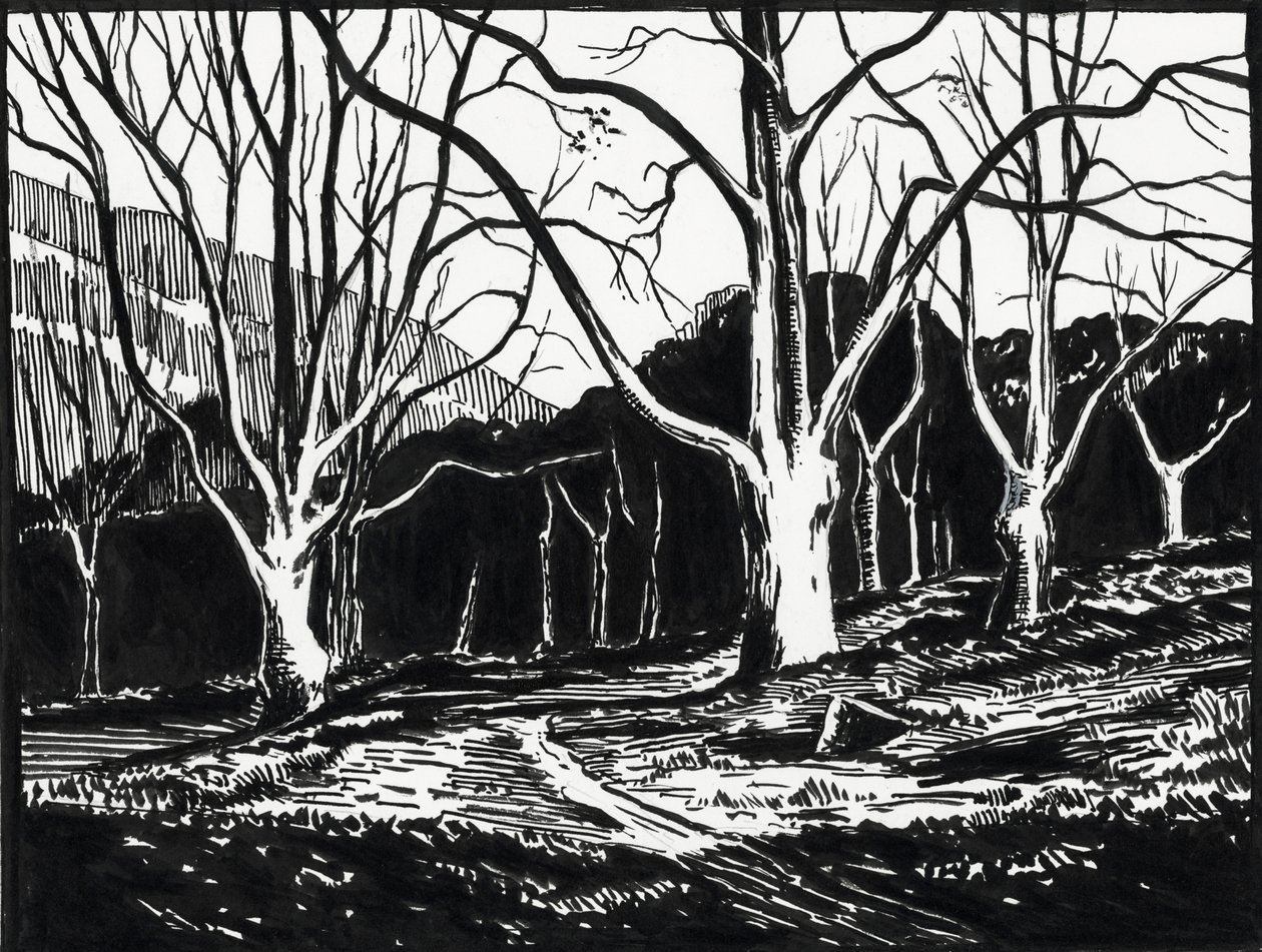 Wald im Winter von Raymond Bonnefon