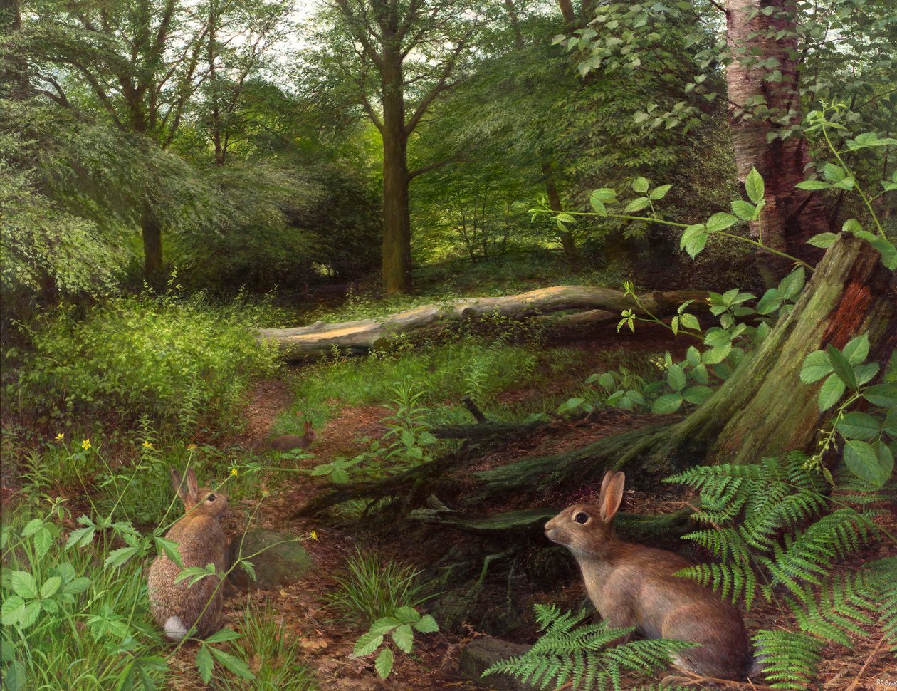 Im Wald - ein Mittsommerabend von Raymond Booth