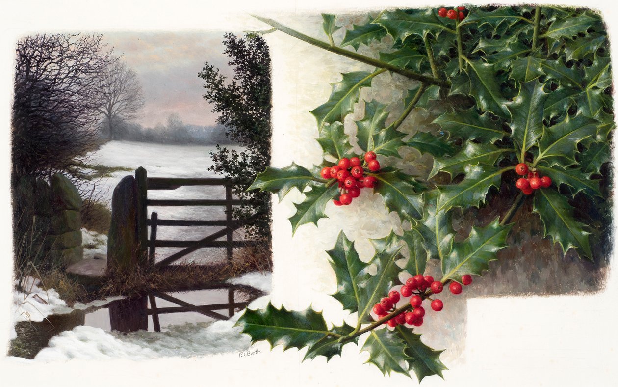 Midwintertau mit Stechpalme von Raymond Booth