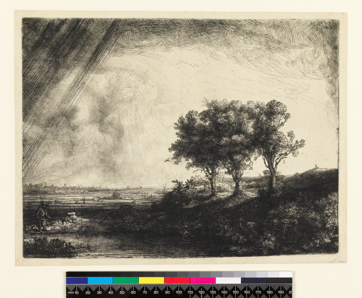 Die drei Bäume von Rembrandt van Rijn