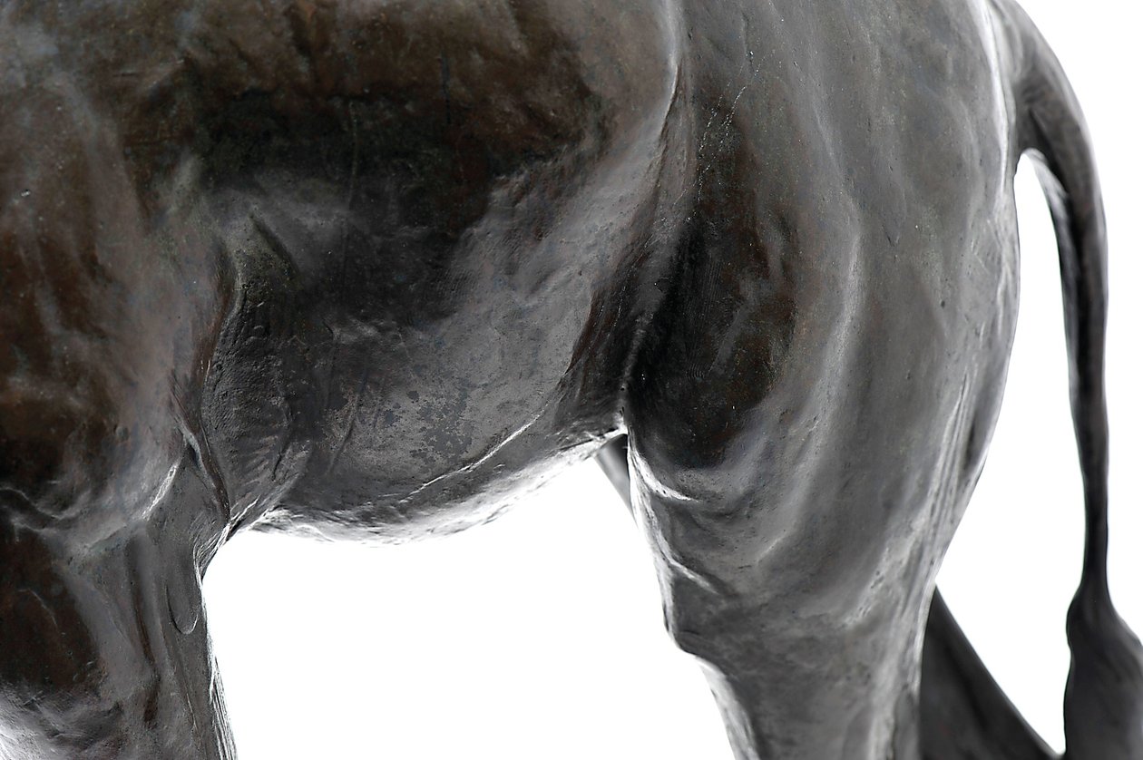 Große Giraffe mit gesenktem Kopf von Rembrandt Bugatti