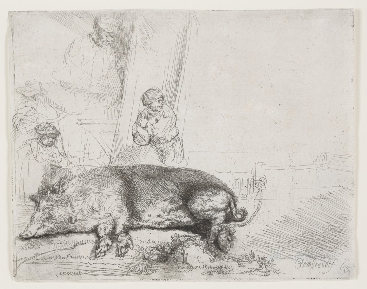 Das Schwein von Rembrandt van Rijn