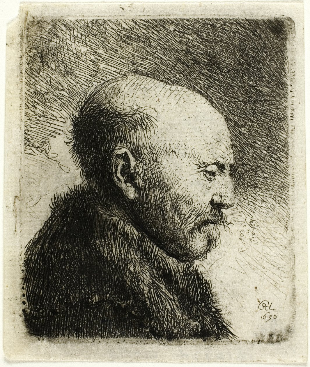 Kahlköpfiger Mann im Profil rechts: Der Vater des Künstlers (?) von Rembrandt van Rijn