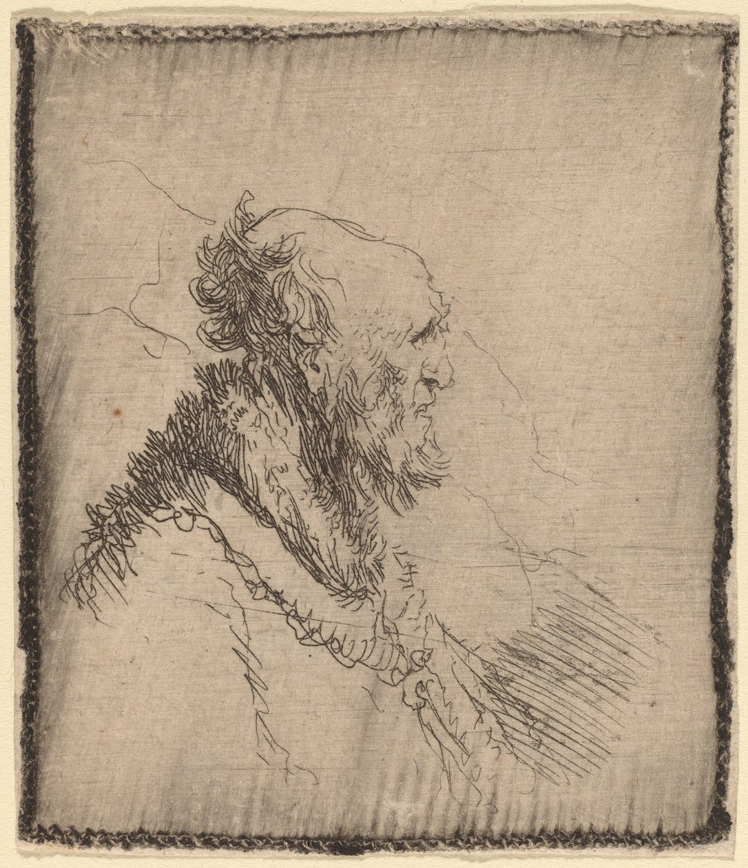 Glatzköpfiger alter Mann mit kurzem Bart im Profil von Rembrandt van Rijn