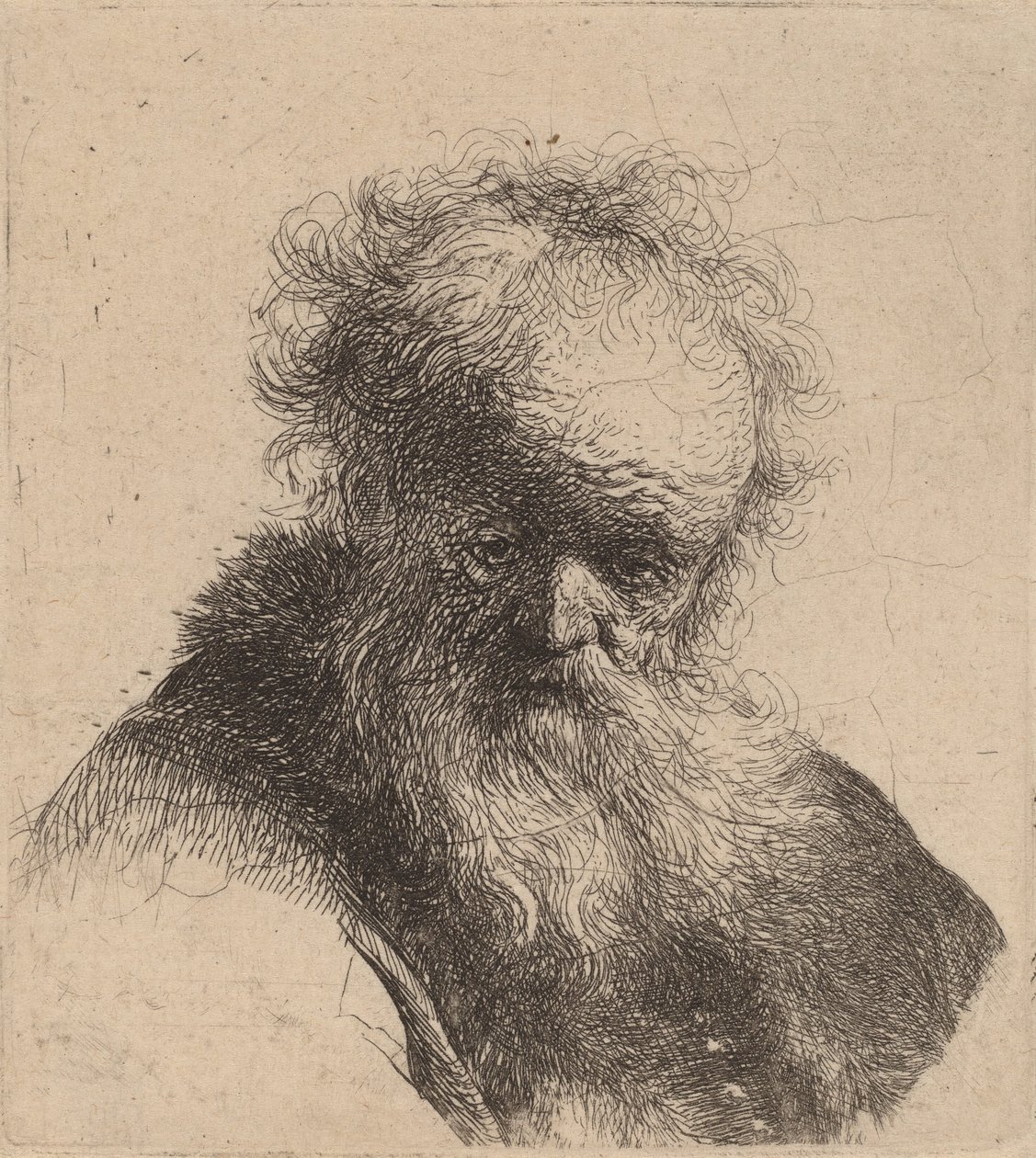 Büste eines alten Mannes mit fließendem Bart und weißem Ärmel, ca. 1630 von Rembrandt van Rijn