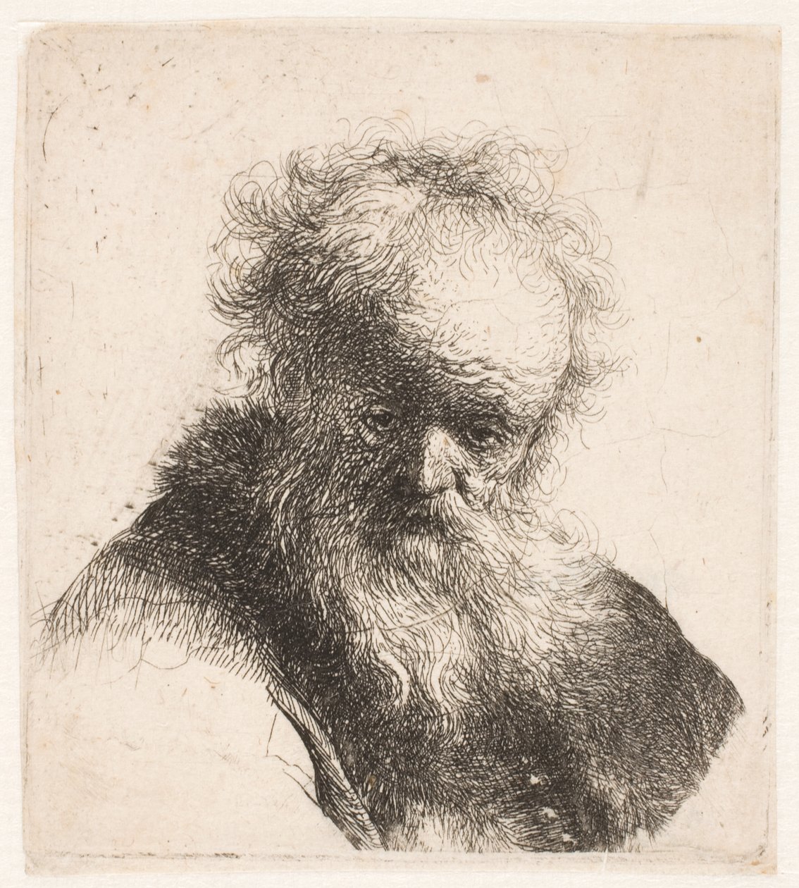 Büste eines alten Mannes mit fließendem Bart und weißem Ärmel von Rembrandt van Rijn