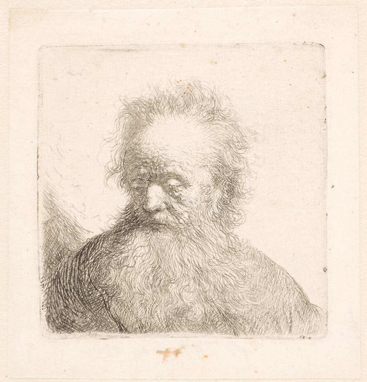 Büste eines alten Mannes mit fließendem Bart: Kopf fast aufrecht: Augen niedergeschlagen: leicht nach links blickend von Rembrandt van Rijn