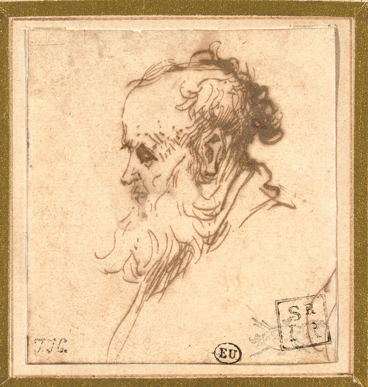 Kopf eines bärtigen Mannes im Profil nach links von Rembrandt van Rijn