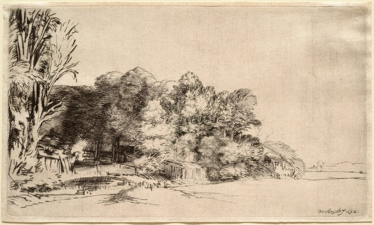 Landschaft mit einer Baumgruppe von Rembrandt van Rijn