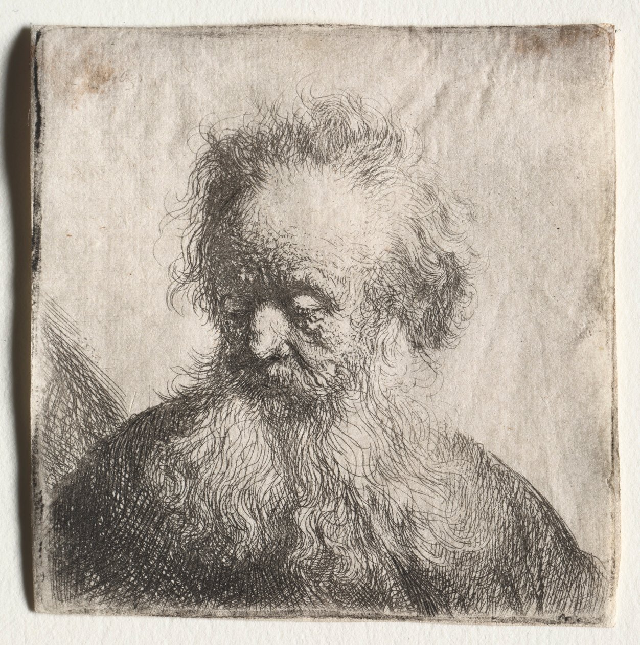 Alter Mann mit fließendem Bart: Büste, 1631 von Rembrandt van Rijn