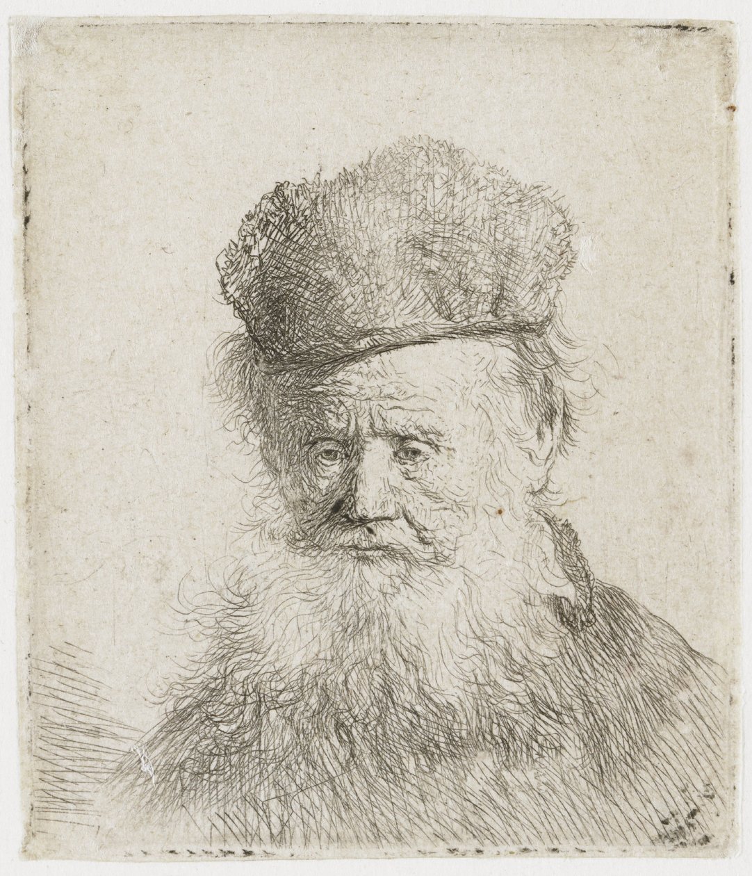 Alter Mann mit Pelzmütze und langem Bart von Rembrandt van Rijn