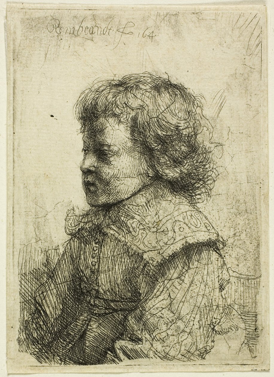 Porträt eines Jungen von Rembrandt van Rijn